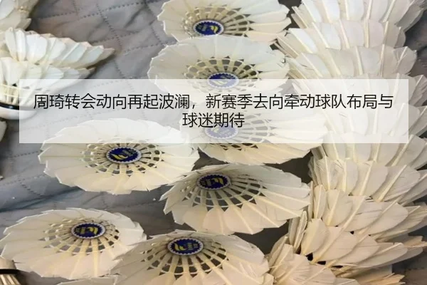 周琦转会动向再起波澜，新赛季去向牵动球队布局与球迷期待 | mktiyu